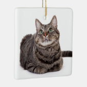 Gray Tabby Cat Keramisch Ornament (Rechts)