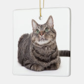 Gray Tabby Cat Keramisch Ornament (Links)