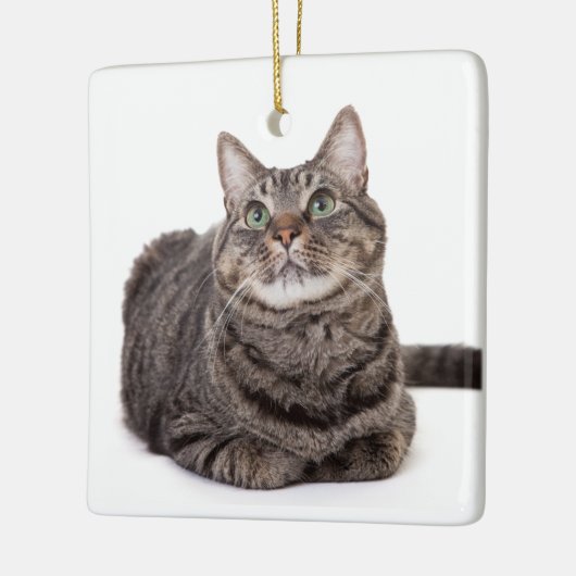 Gray Tabby Cat Keramisch Ornament (Links)