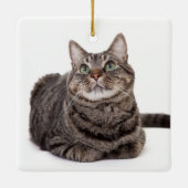 Gray Tabby Cat Keramisch Ornament (Achterkant)