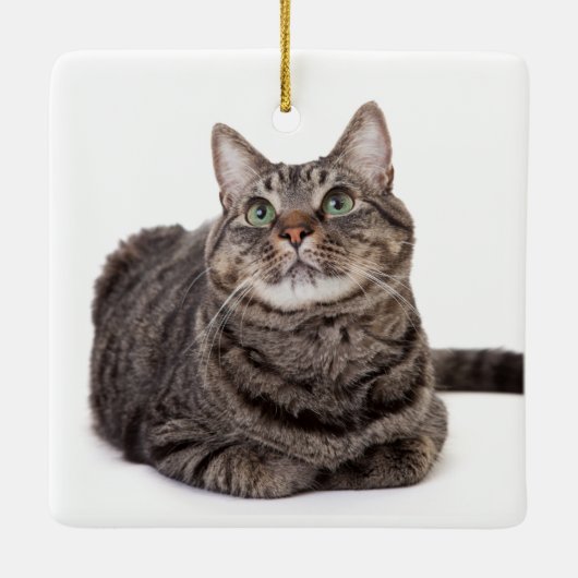Gray Tabby Cat Keramisch Ornament (Achterkant)