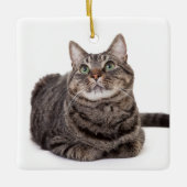 Gray Tabby Cat Keramisch Ornament (Voorkant)