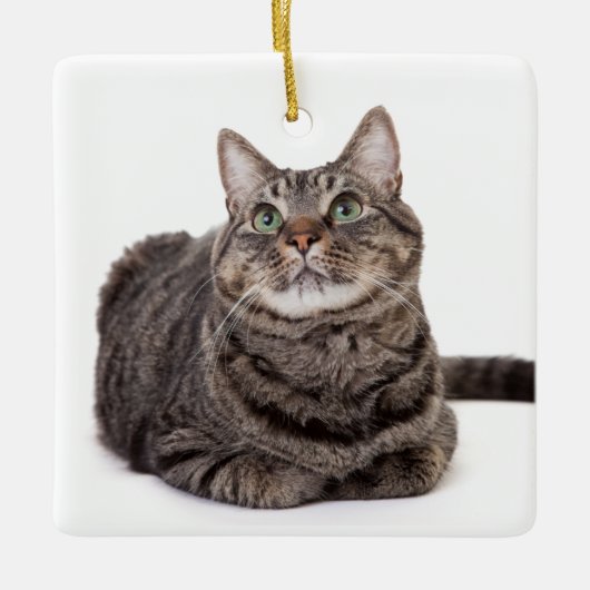 Gray Tabby Cat Keramisch Ornament (Voorkant)