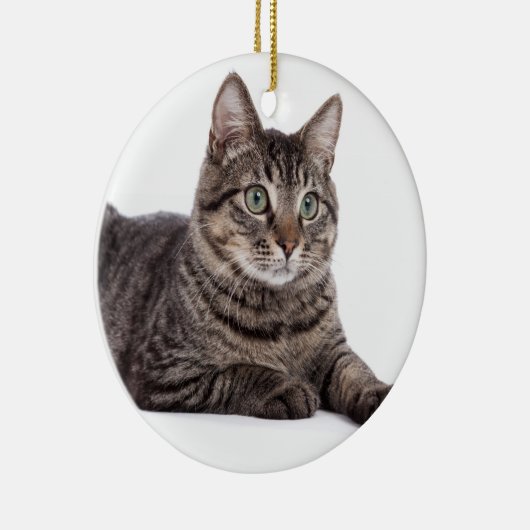 Gray Tabby Cat Keramisch Ornament (Rechts)