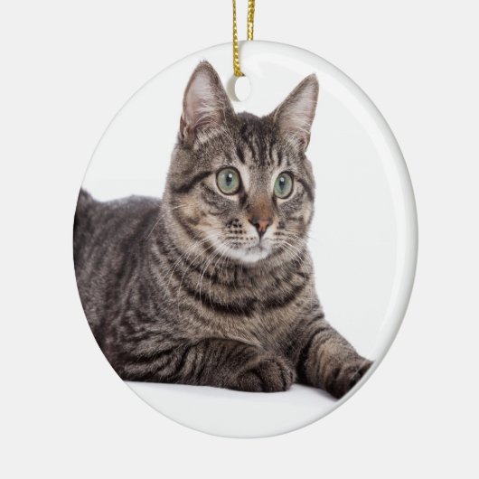 Gray Tabby Cat Keramisch Ornament (Links)