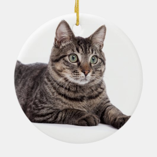 Gray Tabby Cat Keramisch Ornament (Achterkant)