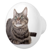 Gray Tabby Cat Keramische Knop (Rechts)