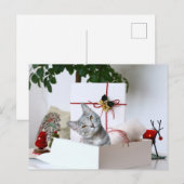 Gray Tabby Cat Kerstmis Feestdagenkaart (Voorkant / Achterkant)