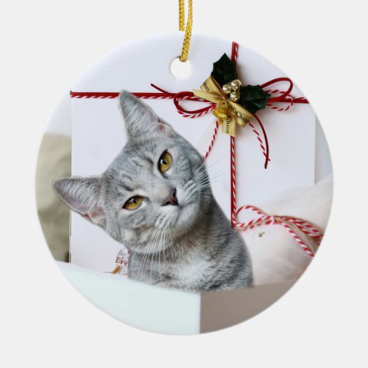 Gray Tabby Cat Kerstmis Keramisch Ornament (Voorkant)