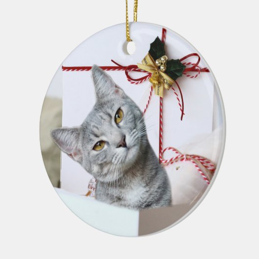Gray Tabby Cat Kerstmis Keramisch Ornament (Links)
