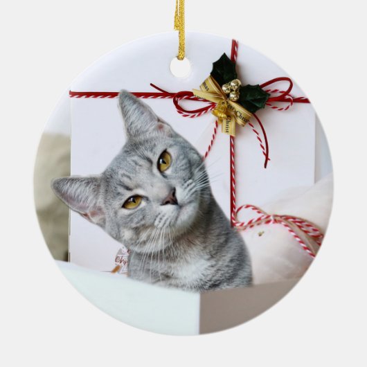 Gray Tabby Cat Kerstmis Keramisch Ornament (Achterkant)
