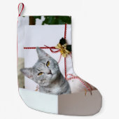 Gray Tabby Cat Kerstmis Kleine Kerstsok (Voorkant)