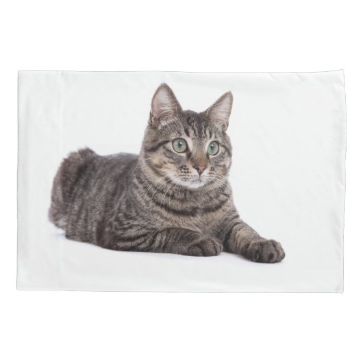 Gray Tabby Cat Kussensloop (Achterkant)