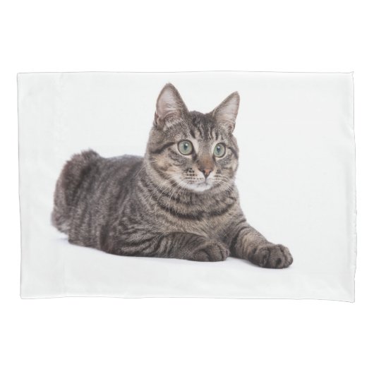Gray Tabby Cat Kussensloop (Voorkant)