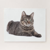 Gray Tabby Cat Legpuzzel (Horizontaal)