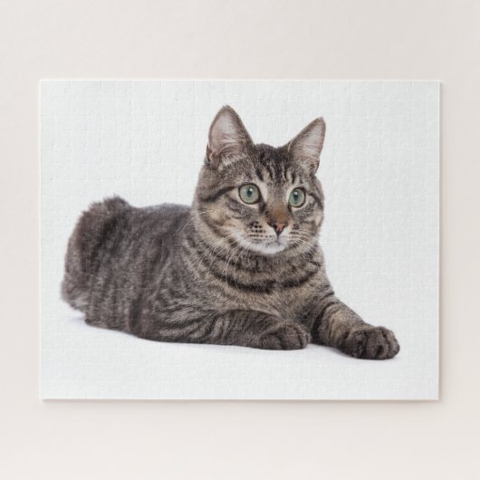 Gray Tabby Cat Legpuzzel (Horizontaal)