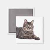 Gray Tabby Cat Magneet (Voorkant / Achterkant)