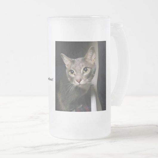 Gray Tabby Cat Matglas Bierpul (Voorkant rechts)