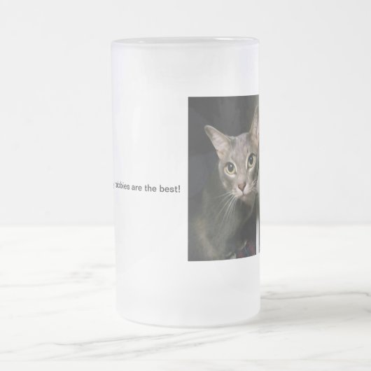 Gray Tabby Cat Matglas Bierpul (Center)