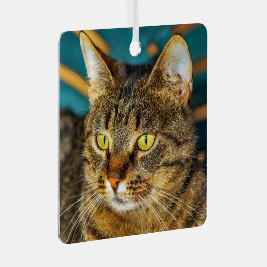 Gray Tabby Cat Metal Ornament (Voorkant Rechts)