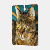 Gray Tabby Cat Metal Ornament (Voorkant links)
