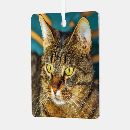 Gray Tabby Cat Metal Ornament (Voorkant links)