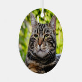 Gray Tabby Cat Metal Ornament (Voorkant Rechts)