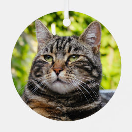 Gray Tabby Cat Metal Ornament