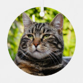 Gray Tabby Cat Metal Ornament (Voorkant)