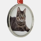 Gray Tabby Cat Metalen Ornament (Rechts)