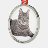 Gray Tabby Cat Metalen Ornament (Links)