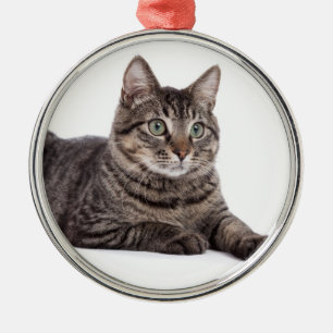 Gray Tabby Cat Metalen Ornament