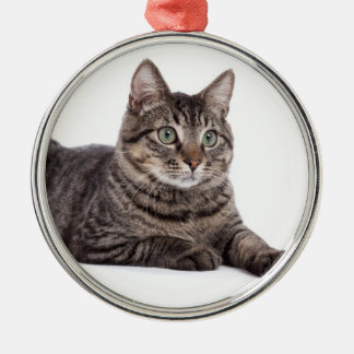 Gray Tabby Cat Metalen Ornament