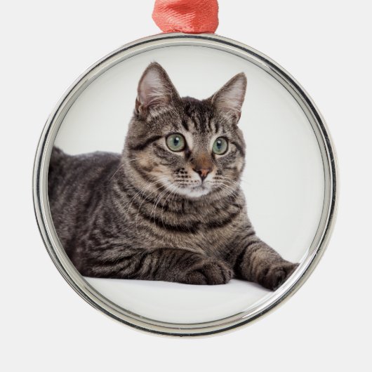 Gray Tabby Cat Metalen Ornament (Voorkant)