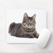 Gray Tabby Cat Muismat (Met muis)