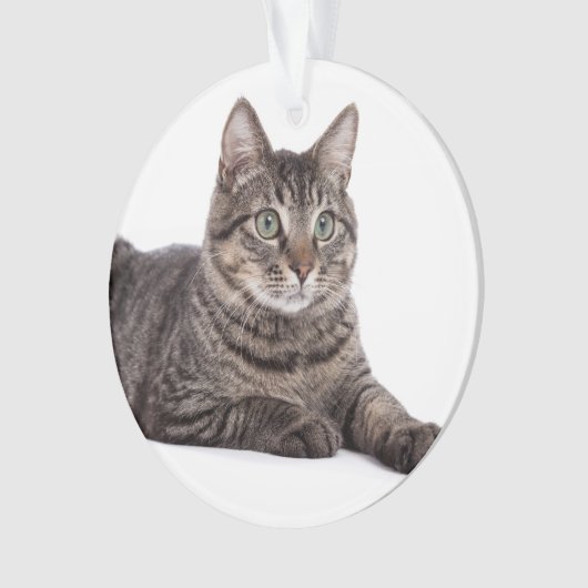 Gray Tabby Cat Ornament (voorkant)