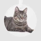 Gray Tabby Cat Ornament (voorkant)