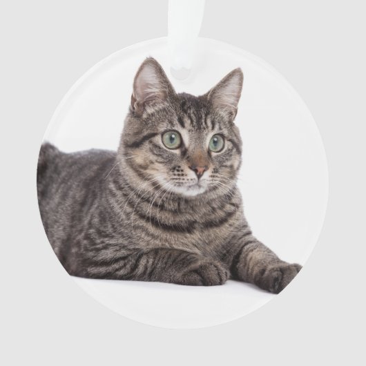 Gray Tabby Cat Ornament (voorkant)