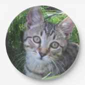 Gray Tabby Cat Papieren Bordje (Voorkant)