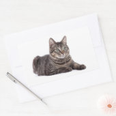 Gray Tabby Cat Rechthoekige Sticker (Envelop)