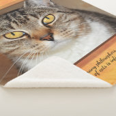 Gray Tabby Cat Sherpa Deken (3/4)