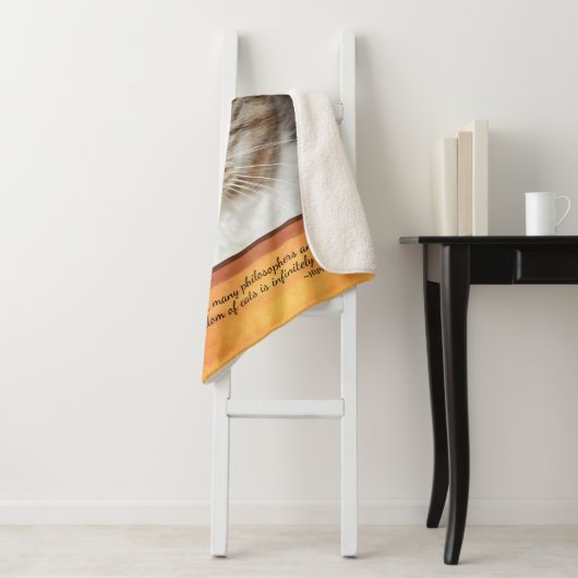 Gray Tabby Cat Sherpa Deken (In situ)