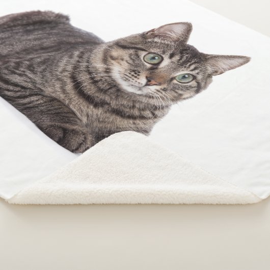 Gray Tabby Cat Sherpa Deken (3/4)