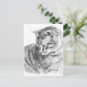 Gray Tabby Cat Sketting in Charcoal Briefkaart (Staand voorkant)