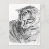 Gray Tabby Cat Sketting in Charcoal Briefkaart (Voorkant)