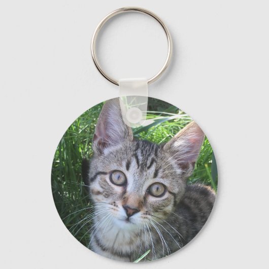 Gray Tabby Cat Sleutelhanger (Voorkant)