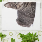 Gray Tabby Cat Theedoek (Gevouwen)