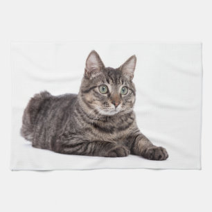 Gray Tabby Cat Theedoek