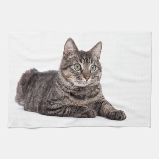 Gray Tabby Cat Theedoek (Horizontaal)