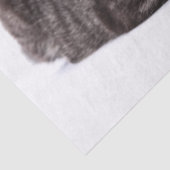 Gray Tabby Cat Tissuepapier (Detail)